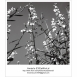 馬芊伶-攝影明信片