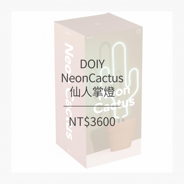 DOIY 仙人掌燈