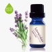 Lavender Essential Oil