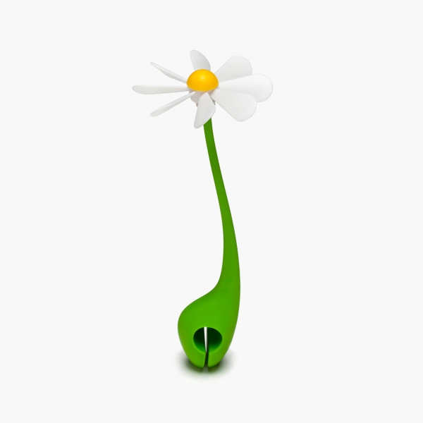 OTOTO 爭氣小雛菊